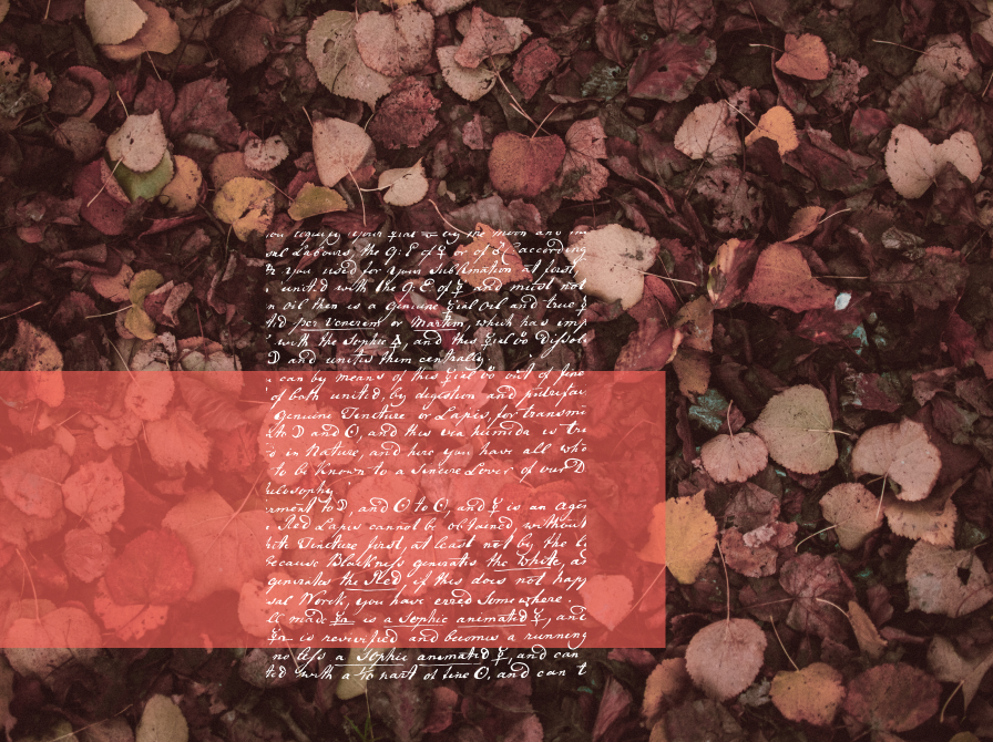 visne blade og skråskrift